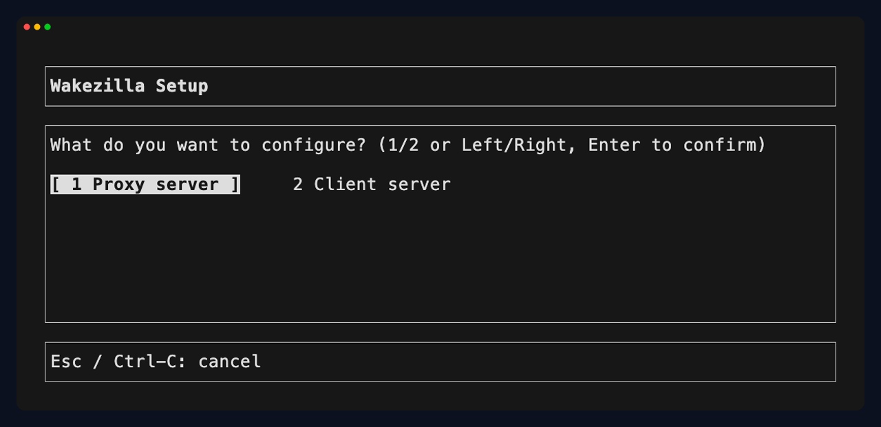 Wakezilla setup wizard with Proxy server selected